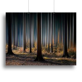 Mystic Wood Canvas Print or Poster (Type: Standard Framed Canvas Print, size: 32" x 24" / 80cm x 60cm (approx))
